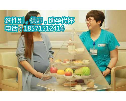 北京朝阳医院试管婴儿费用多少？2022年试管价格表 北京借腹怀胎价格