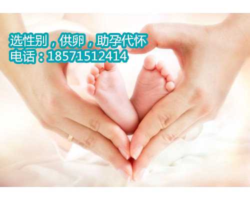 北京那个医院可以做试管 卵子发育如何怎么能知道 北京捐卵子价格