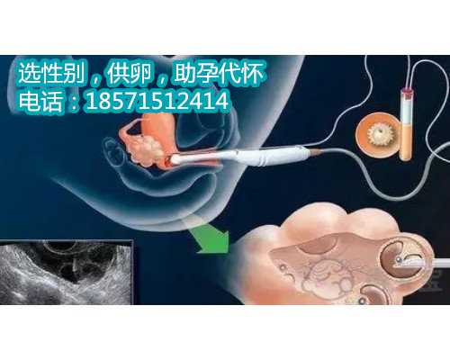 北京代孕哪家较好点缺钙的表现与症状