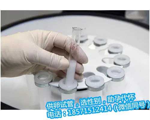 IVF北京代孕机构电话育种真的靠谱吗？成功率有多高？