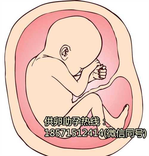 北京那个医院做试管婴儿好 进周要做几次B超 北京三代医院试管婴儿