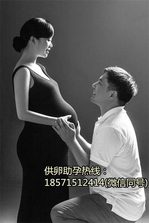 北京宝岛妇产医院助孕试管婴儿费用详细介绍 北京谁做助孕妈妈