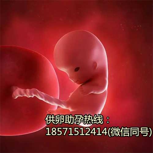 试管取卵越多越好吗 在北京做试管婴儿 北京做试管代怀好不好