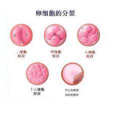 45岁供卵怀孕孩子会正常吗,广州试管机构：45岁段女士做供卵试管移植成功怀孕