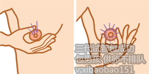 北京供卵试管代孕公司_哈尔滨医大一院生殖中心供精试管婴儿流程步骤是怎样