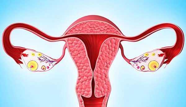 a卵b生违法吗，子宫腺肌症要想怀孕，这几点必须注意