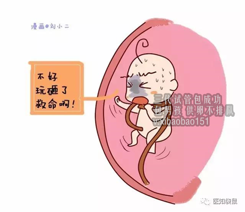 中国les可以生孩子吗，做试管婴儿多钱