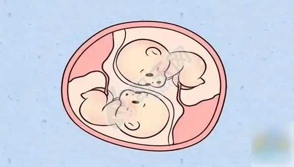 女的和女的能生孩子吗，该怎么判断输卵管是不是堵塞？