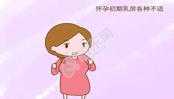 北京哪里有美女代孕,1湖北试管婴儿技术怎么样成功率高吗